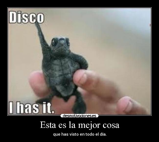 Esta es la mejor cosa -