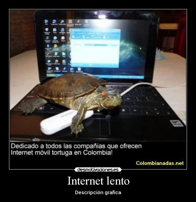 Internet lento - Descripción grafica