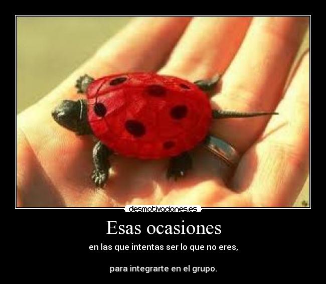 Esas ocasiones - en las que intentas ser lo que no eres,
para integrarte en el grupo.