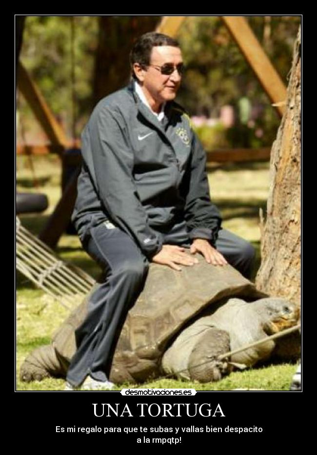 carteles tortuga desmotivaciones