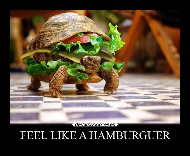 FEEL LIKE A HAMBURGUER -
