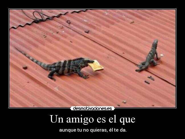 carteles iguanas desmotivaciones