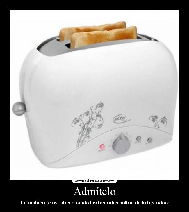 Admítelo - Tú también te asustas cuando las tostadas saltan de la tostadora