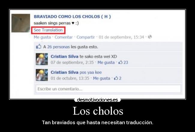 carteles cholos desmotivaciones