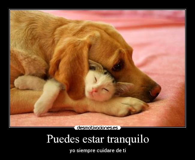 Puedes estar tranquilo - yo siempre cuidare de ti
