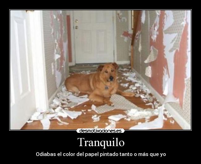 Tranquilo - Odiabas el color del papel pintado tanto o más que yo
