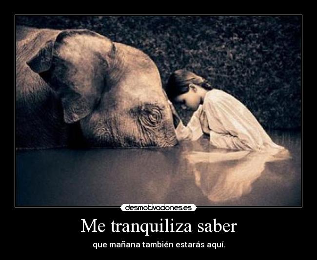 Me tranquiliza saber -