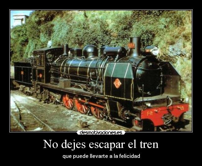 No dejes escapar el tren - 