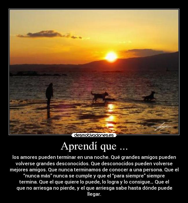 Aprendí que ... - los amores pueden terminar en una noche. Qué grandes amigos pueden
volverse grandes desconocidos. Que desconocidos pueden volverse
mejores amigos. Que nunca terminamos de conocer a una persona. Que el
“nunca más” nunca se cumple y que el “para siempre” siempre
termina. Que el que quiere lo puede, lo logra y lo consigue… Que el
que no arriesga no pierde, y el que arriesga sabe hasta dónde puede
llegar.