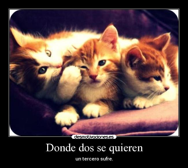 Donde dos se quieren - 