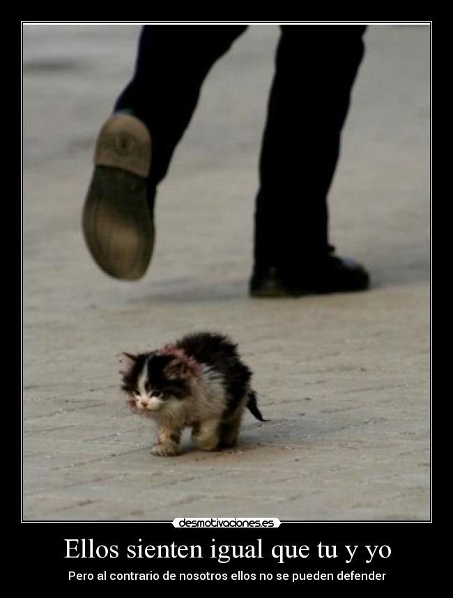 Ellos sienten igual que tu y yo - Pero al contrario de nosotros ellos no se pueden defender