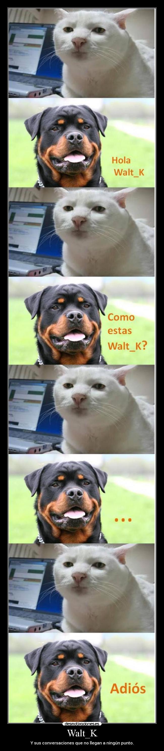 Walt_K - Y sus conversaciones que no llegan a ningún punto.