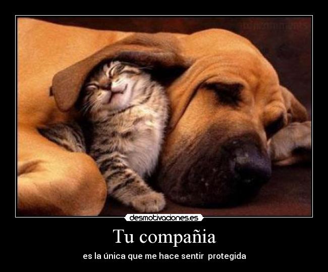 carteles oowww que lindos desmotivaciones