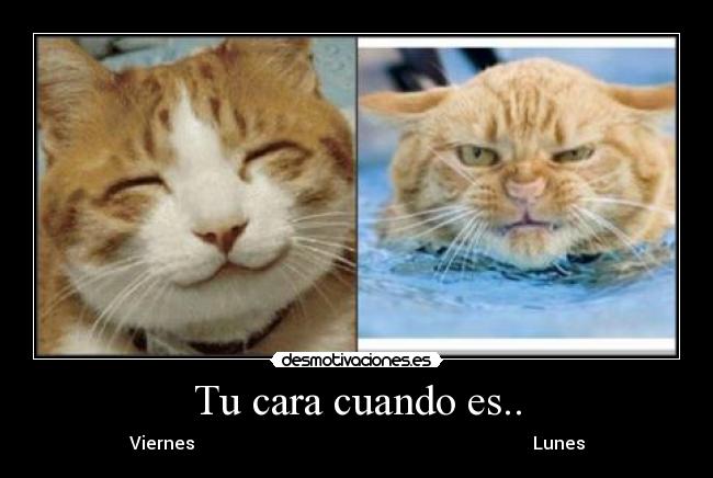 Tu cara cuando es.. - Viernes Lunes
