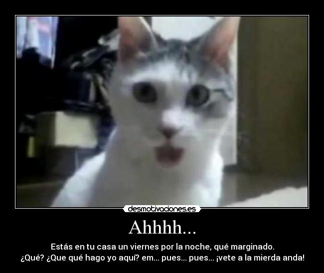 Ahhhh... - Estás en tu casa un viernes por la noche, qué marginado.
¿Qué? ¿Que qué hago yo aquí? em... pues... pues... ¡vete a la mierda anda!