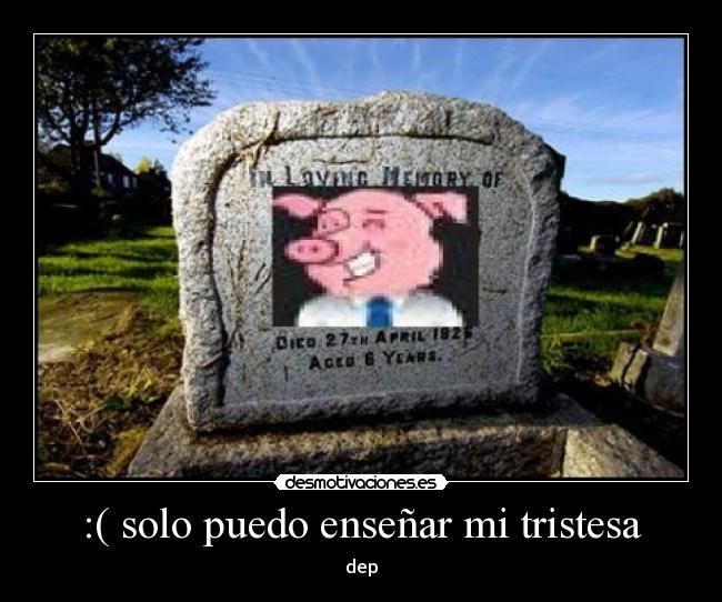 :( solo puedo enseñar mi tristesa -