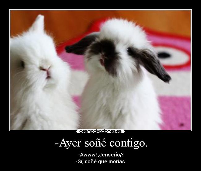 -Ayer soñé contigo. - -Awww! ¿!enserio¡?
-Sí, soñé que morías.