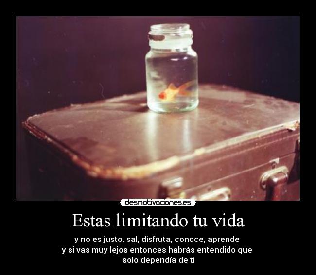 Estas limitando tu vida -