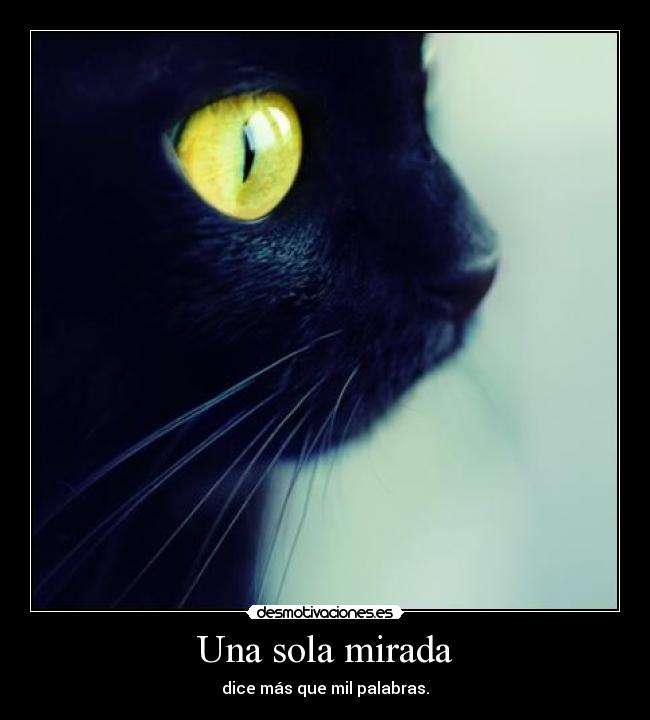 Una sola mirada -