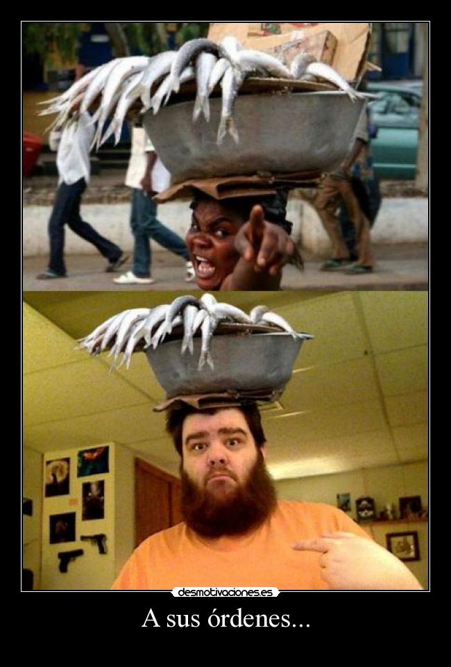 A sus órdenes... -