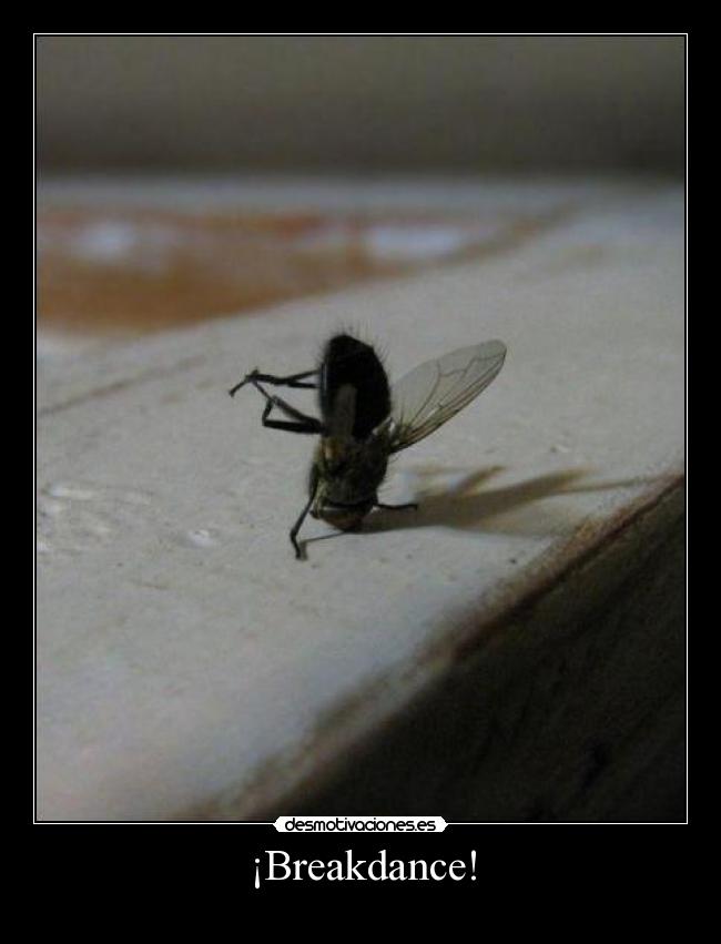 ¡Breakdance! -
