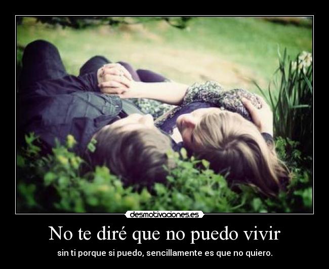 No te diré que no puedo vivir - sin ti porque si puedo, sencillamente es que no quiero.