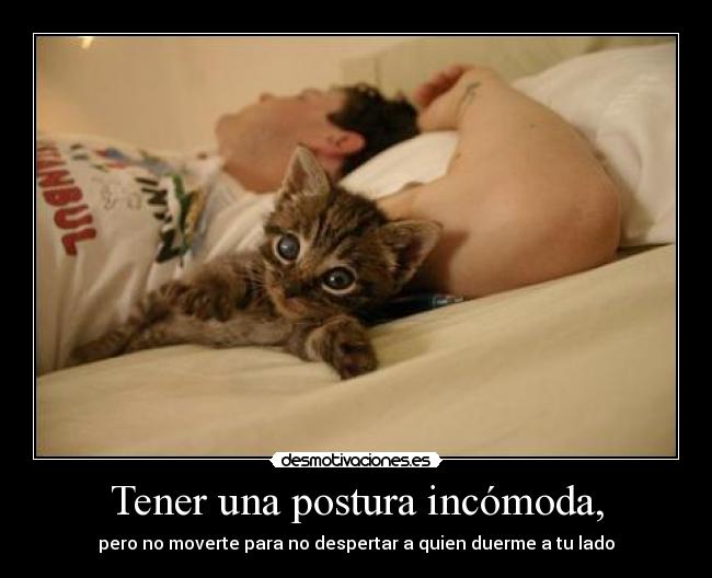 carteles tener una postura incomoda moverte para despertar quien duerme lado desmotivaciones