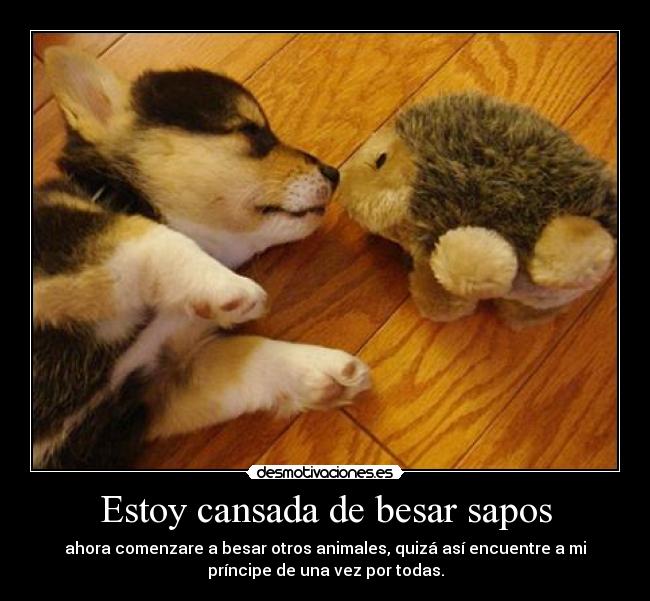 Estoy cansada de besar sapos - ahora comenzare a besar otros animales, quizá así encuentre a mi
príncipe de una vez por todas.