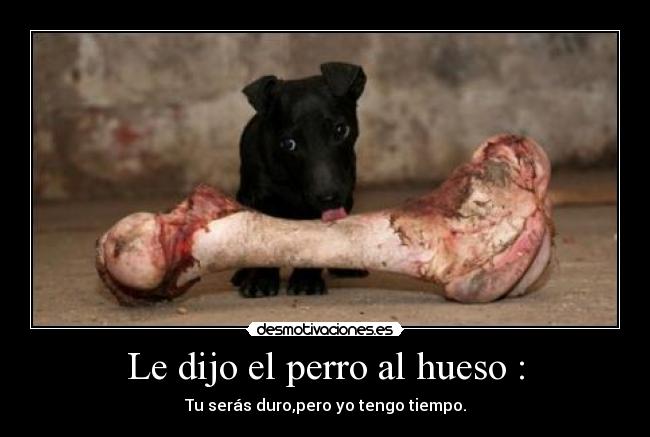 Le dijo el perro al hueso : -