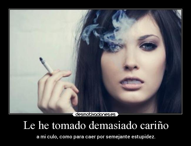 carteles asumelo desmotivaciones