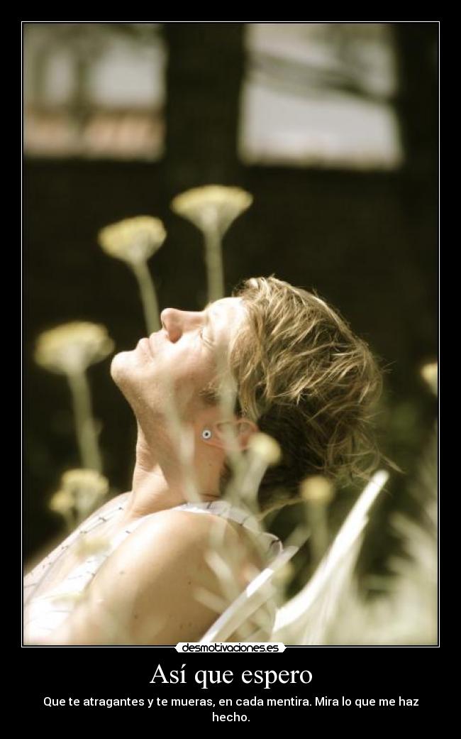 Así que espero - Que te atragantes y te mueras, en cada mentira. Mira lo que me haz hecho.
