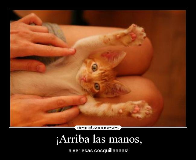 ¡Arriba las manos, -