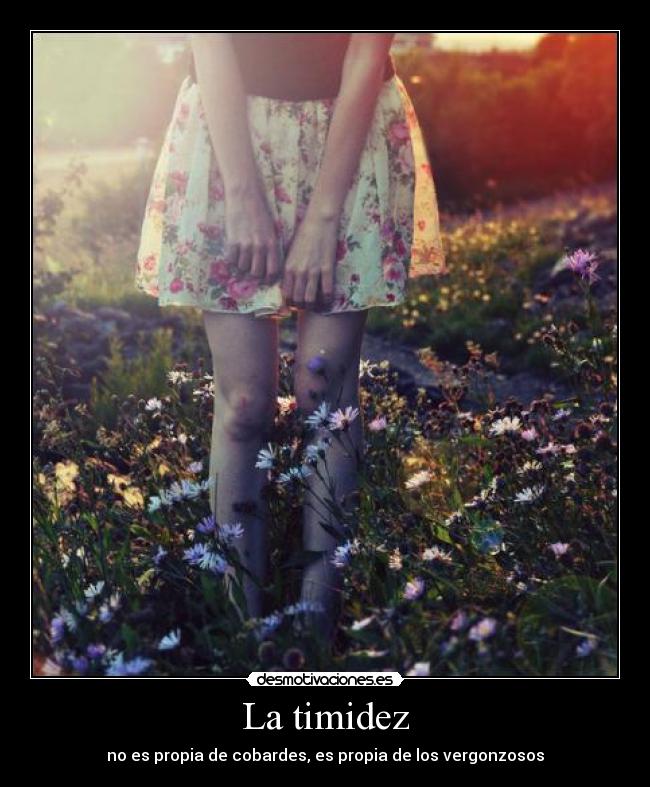 La timidez - no es propia de cobardes, es propia de los vergonzosos