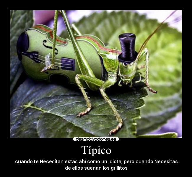 Típico - cuando te Necesitan estás ahí como un idiota, pero cuando Necesitas
de ellos suenan los grillitos