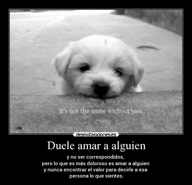 Duele amar a alguien - y no ser correspondidos,
pero lo que es más doloroso es amar a alguien
y nunca encontrar el valor para decirle a esa
persona lo que sientes.