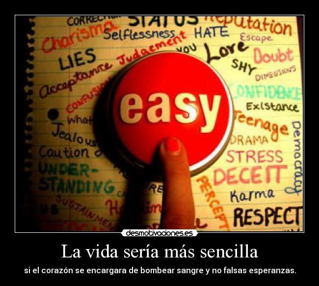carteles vida mucho mas sencilla desmotivaciones