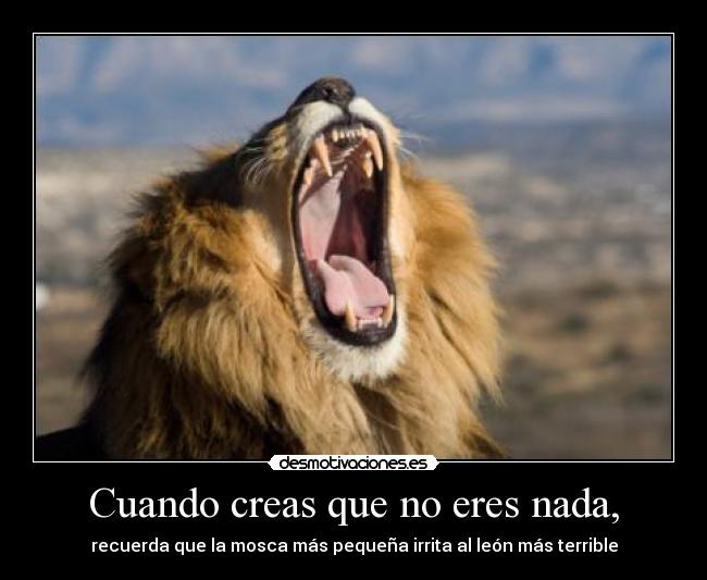 Cuando creas que no eres nada, - recuerda que la mosca más pequeña irrita al león más terrible