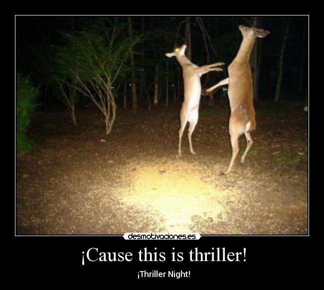 ¡Cause this is thriller! - ♪ ♫ ¡Thriller Night! ♪ ♫