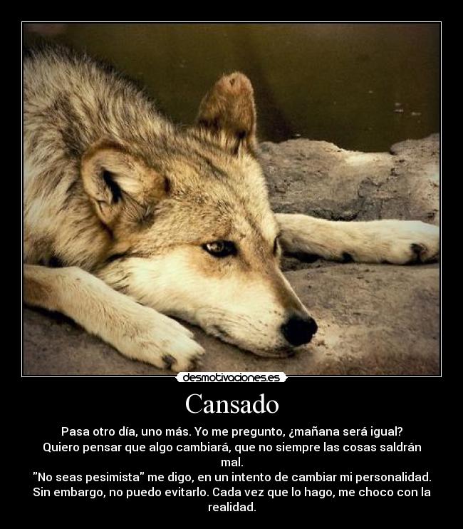 Cansado - 