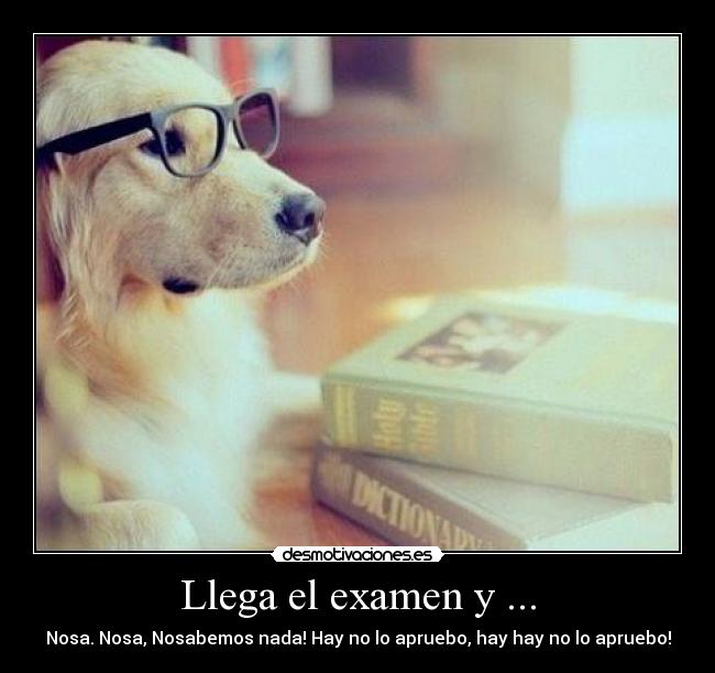 Llega el examen y ... - 