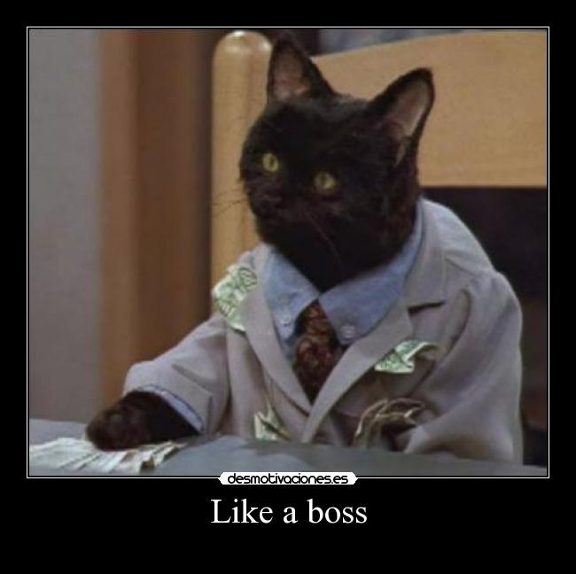 Like a boss - 