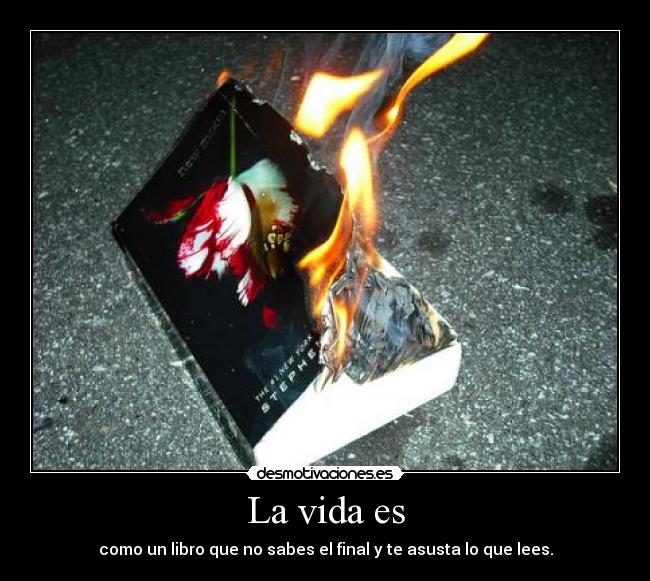 La vida es - como un libro que no sabes el final y te asusta lo que lees.