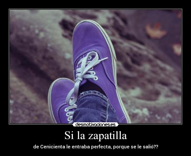 Si la zapatilla - 