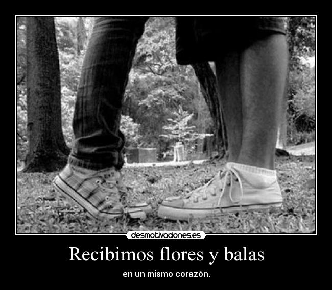 Recibimos flores y balas - en un mismo corazón.