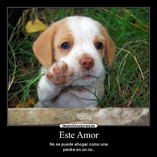 Este Amor - No se puede ahogar como una
piedra en un rio..