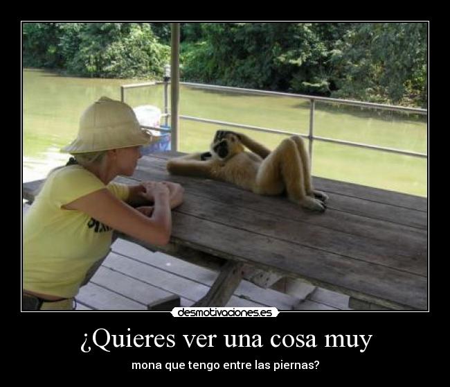 ¿Quieres ver una cosa muy - mona que tengo entre las piernas?