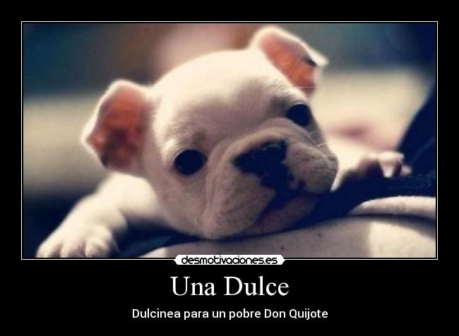 Una Dulce - Dulcinea para un pobre Don Quijote