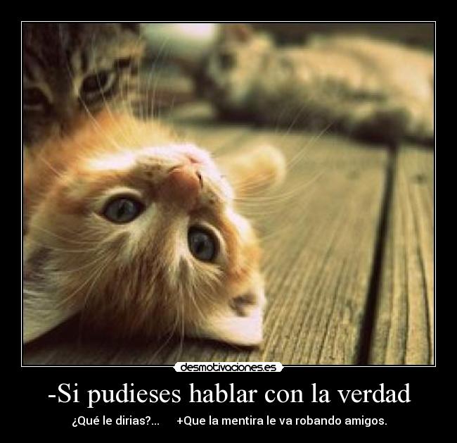 -Si pudieses hablar con la verdad - 