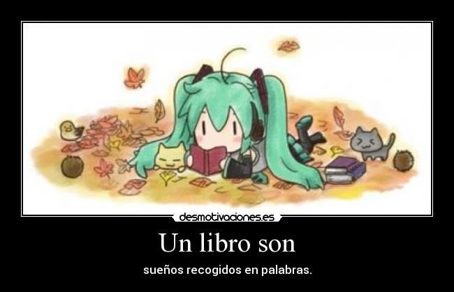 Un libro son - sueños recogidos en palabras.