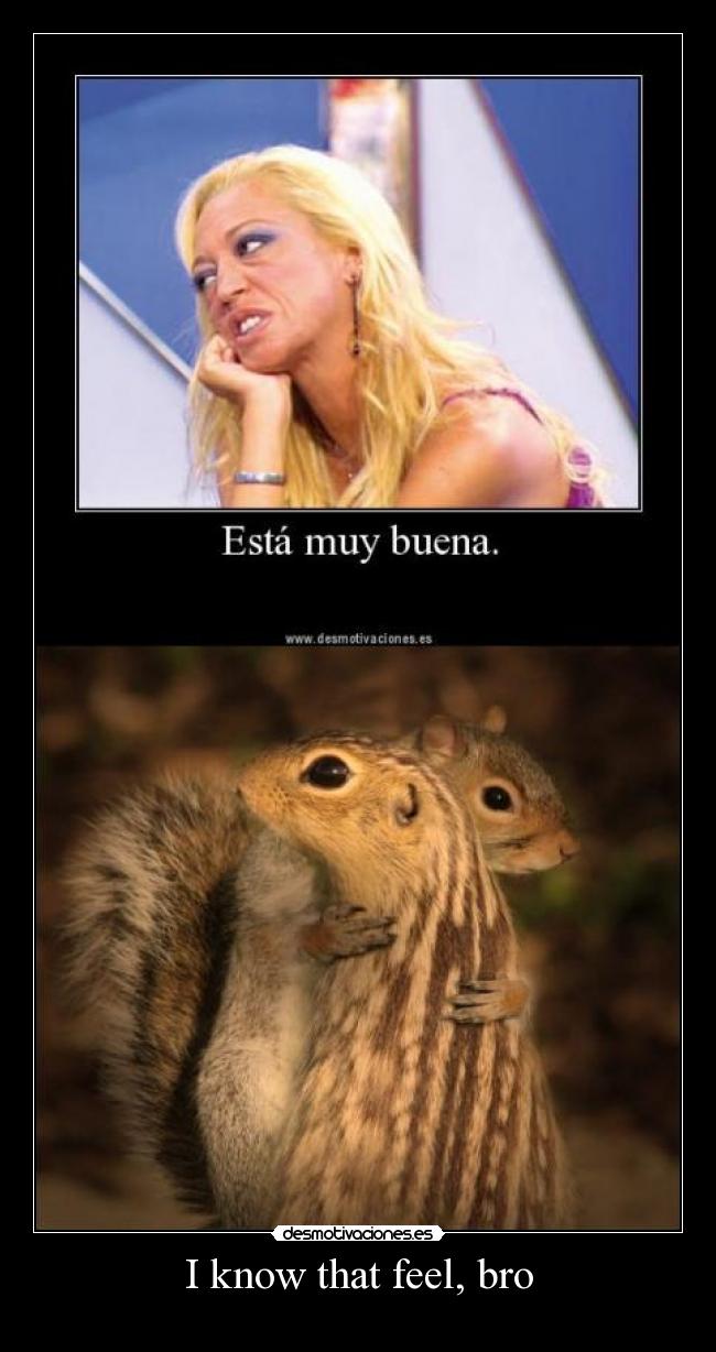 carteles las ardillas molan desmotivaciones